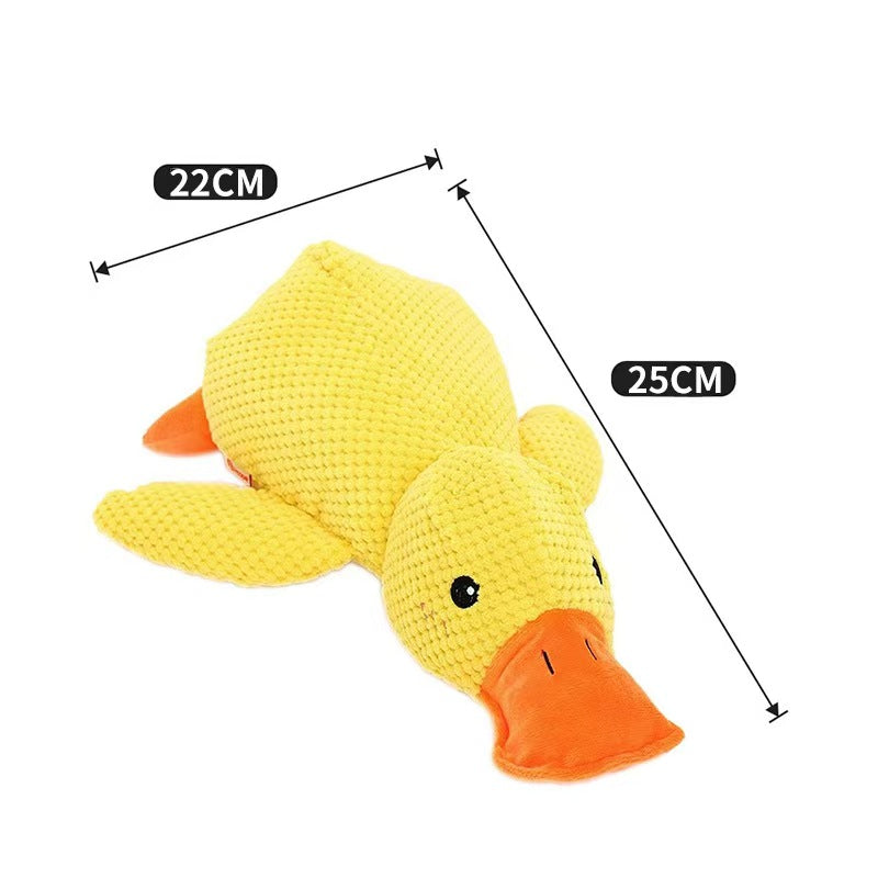 Pet's Big Yellow Duck