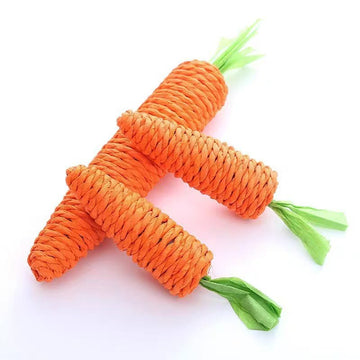 Pet Carrot Toy